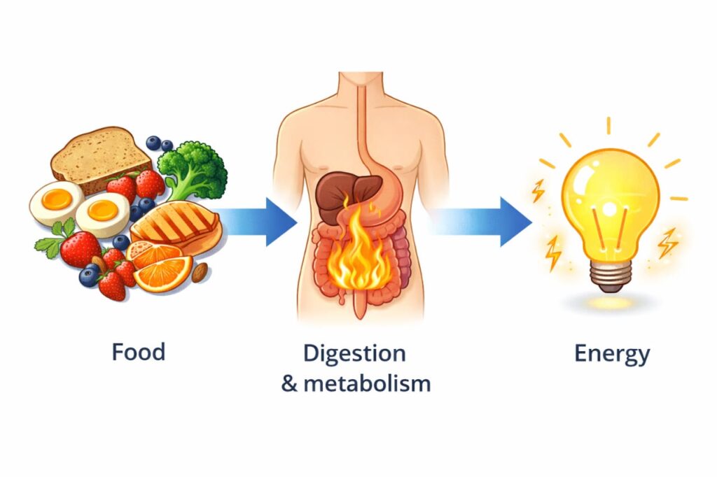 how to increase metabolism for weight loss,
increase metabolism naturally,
boost metabolism for weight loss,
slow metabolism and weight loss,
metabolism and fat loss,
improve metabolism naturally,
increase metabolic rate naturally,
What Is Metabolism?,
Best Natural Ways to Increase Metabolism for Weight Loss,
Metabolism-Boosting Foods You Should Eat,
how to increase metabolism naturally for weight loss,
best ways to increase metabolism for fat loss,
how to boost metabolism without exercise,
foods that increase metabolism for weight loss,
how can I increase my metabolism for weight loss,
does metabolism affect weight loss,
can slow metabolism cause weight gain,
how long does it take to increase metabolism,
