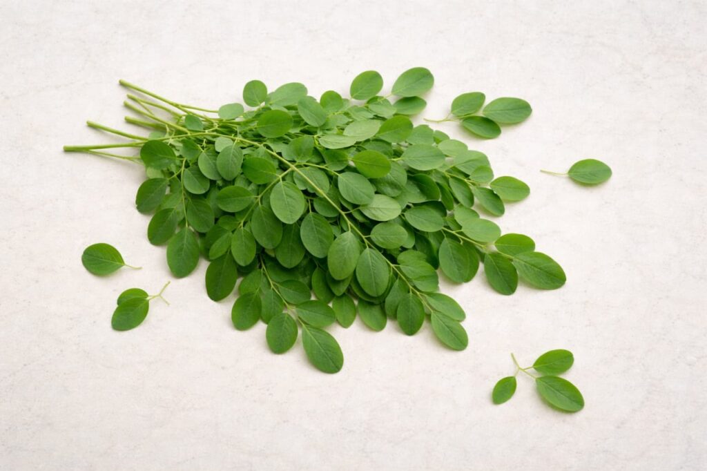 health benefits of drumstick leaves,
drumstick leaves benefits for health,
moringa leaves health benefits,
benefits of drumstick leaves for women,
drumstick leaves benefits for immunity,
health benefits of moringa leaves in Hindi,
drumstick leaves nutrition and benefits,
benefits of eating drumstick leaves daily,
drumstick leaves benefits for diabetes,
drumstick leaves benefits for weight loss,
Nutritional Value of Drumstick Leaves,
Drumstick Leaves Benefits for Skin and Hair,
Drumstick Leaves Benefits for Women’s Health,
How to Include Drumstick Leaves in Your Diet,