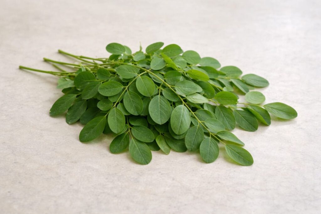 health benefits of drumstick leaves,
drumstick leaves benefits for health,
moringa leaves health benefits,
benefits of drumstick leaves for women,
drumstick leaves benefits for immunity,
health benefits of moringa leaves in Hindi,
drumstick leaves nutrition and benefits,
benefits of eating drumstick leaves daily,
drumstick leaves benefits for diabetes,
drumstick leaves benefits for weight loss,
Nutritional Value of Drumstick Leaves,
Drumstick Leaves Benefits for Skin and Hair,
Drumstick Leaves Benefits for Women’s Health,
How to Include Drumstick Leaves in Your Diet,