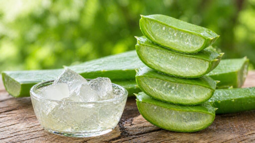Benefits of Aloe Vera for Dandruff 6